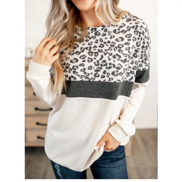 Leopard Color Block Top - Picture 1 of 5